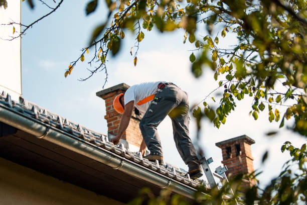 Best Metal Roofing Contractor  in Elberton, GA