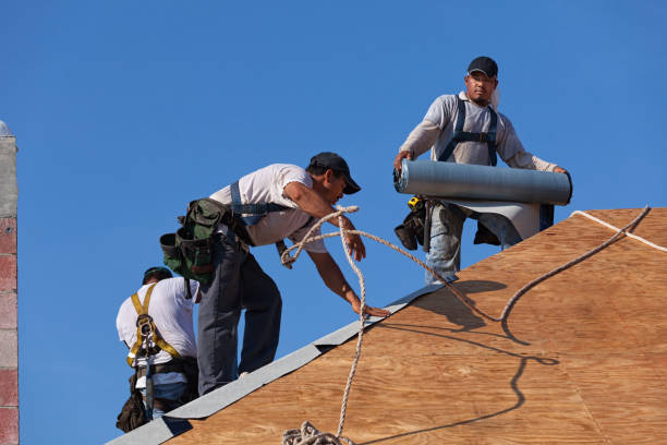 Professional Roofing Contractor in Elberton, GA