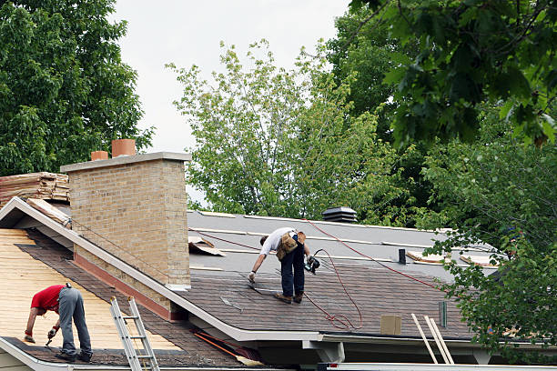 Best Roof Gutter Cleaning  in Elberton, GA