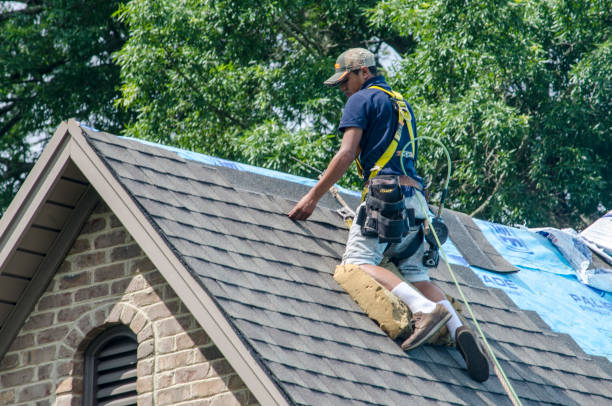 Best New Roof Installation  in Elberton, GA